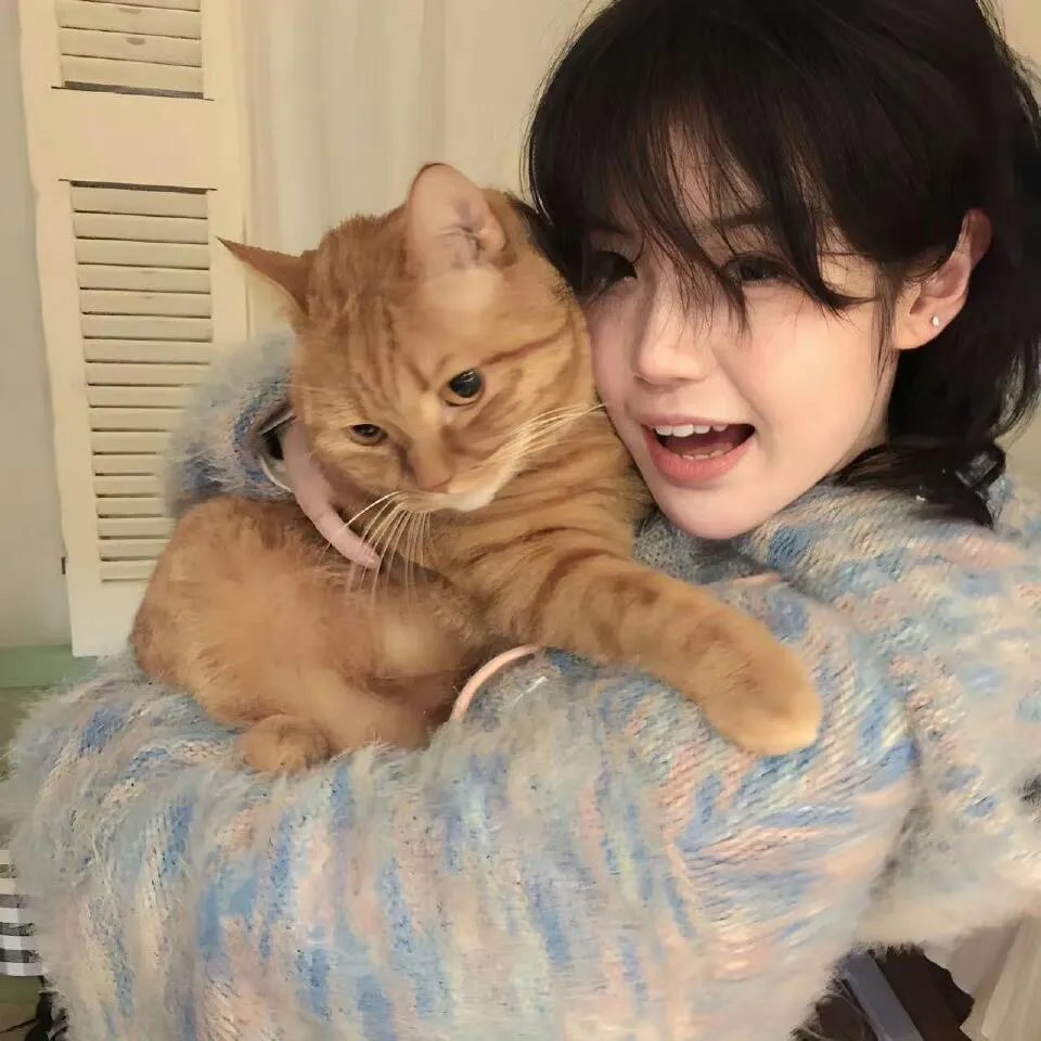 我在大唐混饭吃