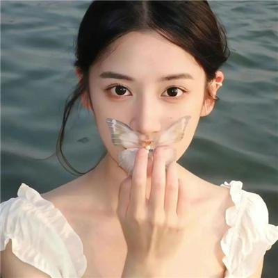 欢乐树的朋友们